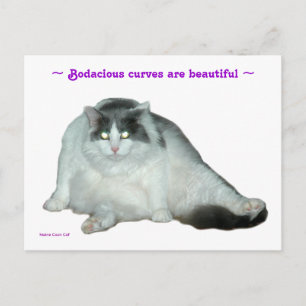 Katze, Bodacious Kurven sind schöne Postcard Postkarte