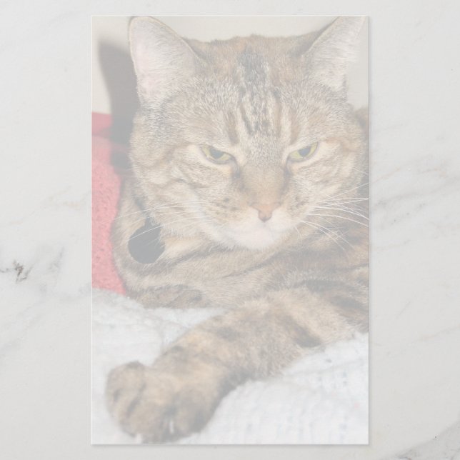 Katze Briefpapier (Vorderseite)