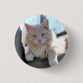 Katze Button