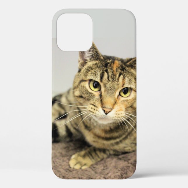 Katze Case-Mate iPhone Hülle (Rückseite)
