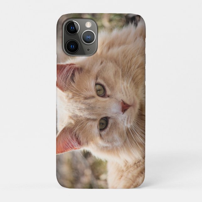 Katze Case-Mate iPhone Hülle (Rückseite)
