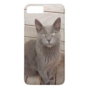 Katze Case-Mate iPhone Hülle