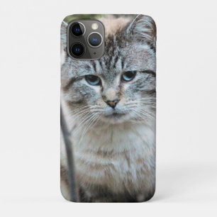 Katze Case-Mate iPhone Hülle
