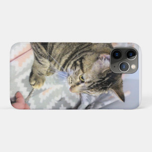 Katze Case-Mate iPhone Hülle