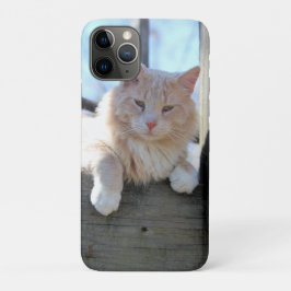Katze Case-Mate iPhone Hülle