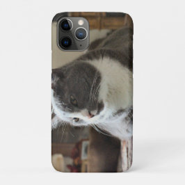 Katze Case-Mate iPhone Hülle