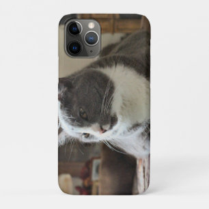 Katze Case-Mate iPhone Hülle