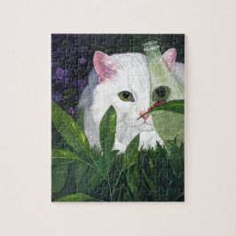 Katze, Cola Flasche und Ladybugs