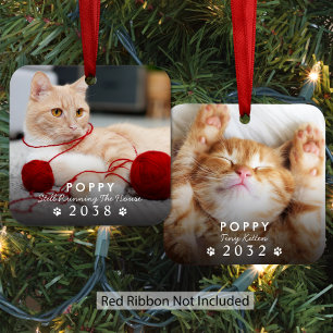 Katze Damals Und Jetzt Weihnachtsfoto Ornament Aus Metall