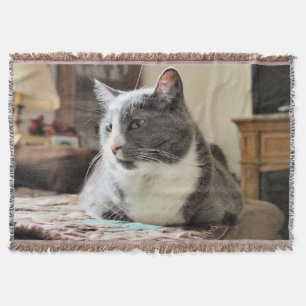 Katze Decke