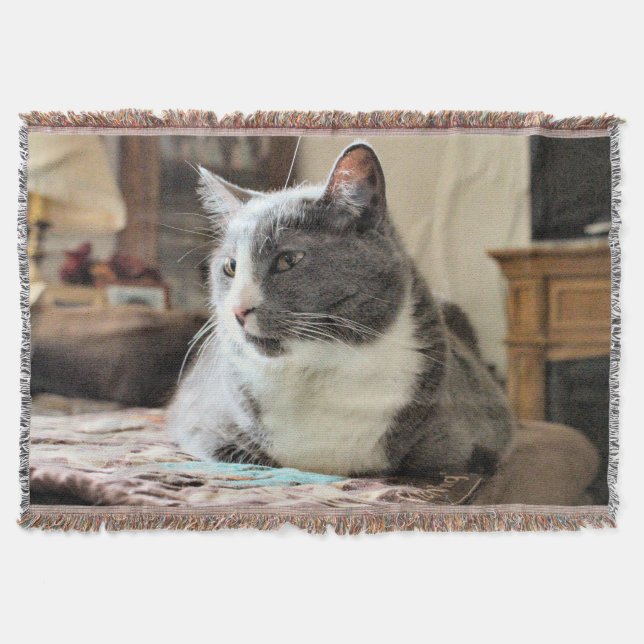 Katze Decke (Vorderseite)