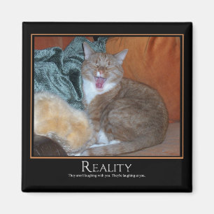 Katze Demotivator Magnet