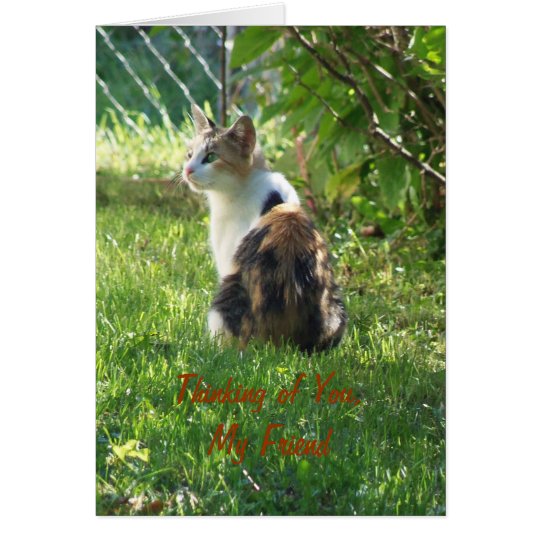 Katze/Denken an Sie, mein Freund Karte