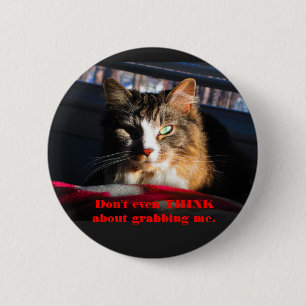 Katze denken nicht einmal an die Ergreifung ich Button