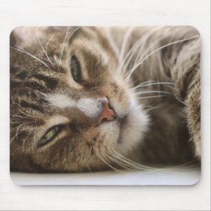 Katze, der Hangover, Katzenauge Mousepad