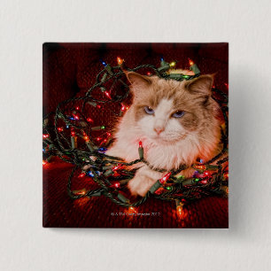 Katze, die auf einem Ball der Weihnachtslichter Button