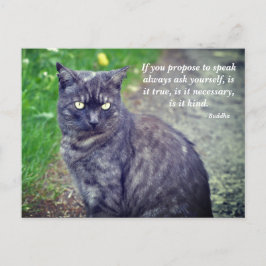 Katze, die auf einem Spaziergang Motivierend buddh Postkarte