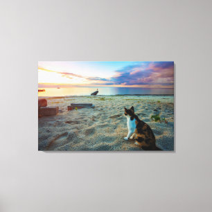 Katze, die auf einem Strand sitzt Leinwanddruck