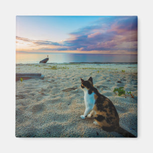 Katze, die auf einem Strand sitzt Magnet