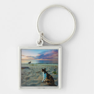 Katze, die auf einem Strand sitzt Schlüsselanhänger