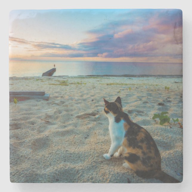 Katze, die auf einem Strand sitzt Steinuntersetzer (Vorderseite)