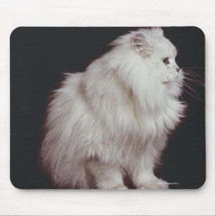 Katze, die auf schwarzem Hintergrund, Nahaufnahme Mousepad