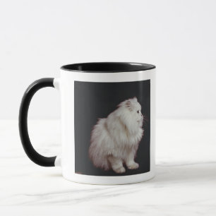 Katze, die auf schwarzem Hintergrund, Nahaufnahme Tasse