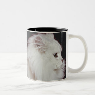 Katze, die auf schwarzem Hintergrund, Nahaufnahme Zweifarbige Tasse
