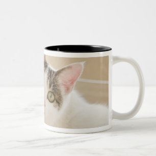 Katze, die auf Treppe liegt Zweifarbige Tasse