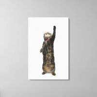 Katze, die auf zwei Beinen stehend ist