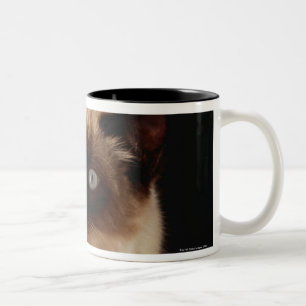 Katze, die durch Steppdecke späht Zweifarbige Tasse