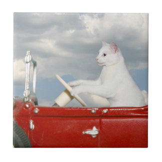 Katze, die ein Auto fährt Fliese