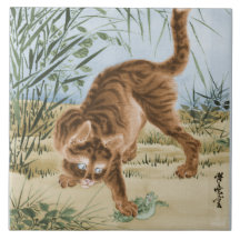 Katze, die einen Frosch fängt
