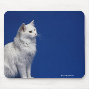 Katze, die gegen blauen Hintergrund sitzt Mousepad