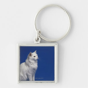 Katze, die gegen blauen Hintergrund sitzt Schlüsselanhänger