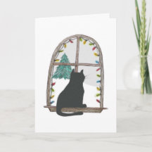 Katze, die heraus ein Fenster schaut