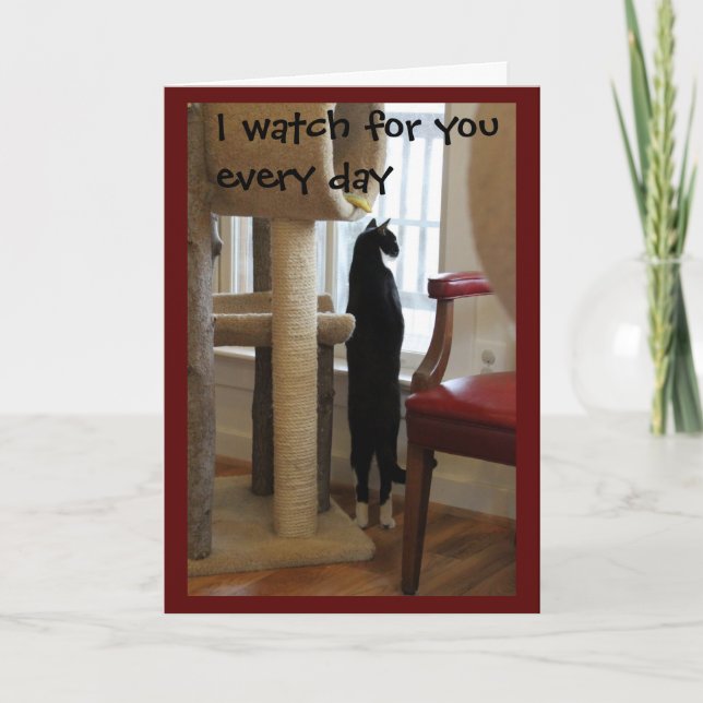 Katze, die heraus Fenster schaut Karte (Vorderseite)