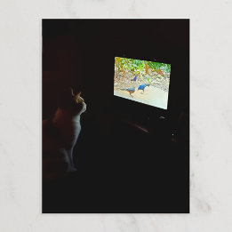 Katze, die ihre Bildschirmzeit liebt Postkarte