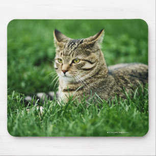 Katze, die im Gras liegt Mousepad