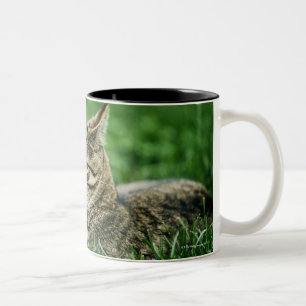 Katze, die im Gras liegt Zweifarbige Tasse