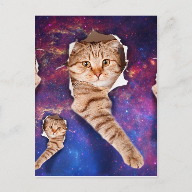 Katze, die im zerrissenen Loch auf der Weltraumsei Postkarte (Vorderseite)