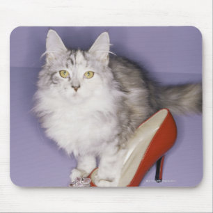 Katze, die in hohen Absatz tritt Mousepad