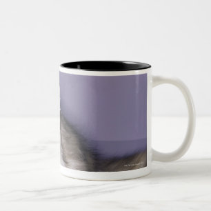 Katze, die in hohen Absatz tritt Zweifarbige Tasse