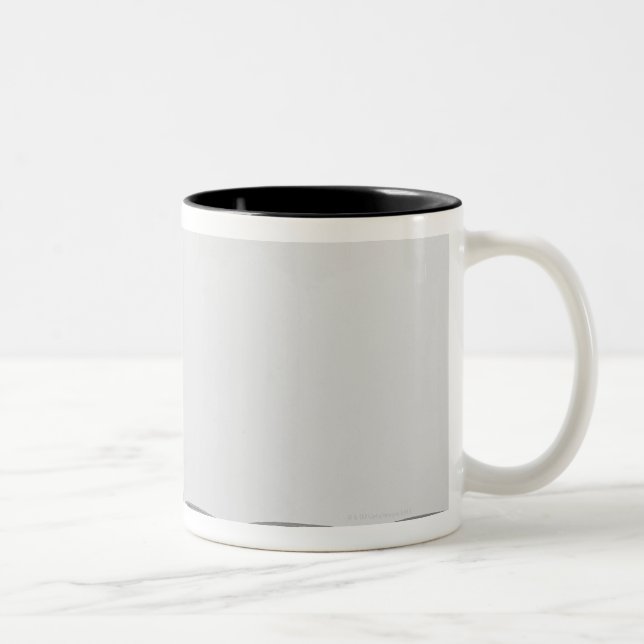 Katze, die neben Haustierschüssel auf Weiß sitzt Zweifarbige Tasse (Rechts)