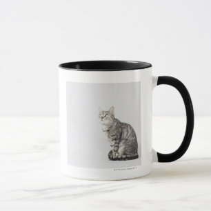 Katze, die oben schaut tasse