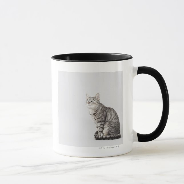 Katze, die oben schaut tasse (Rechts)