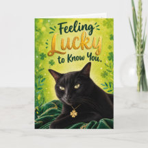Katze, die sich glücklich schätzt, dich zu kennen