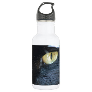 Katze, die Sie mustert Edelstahlflasche