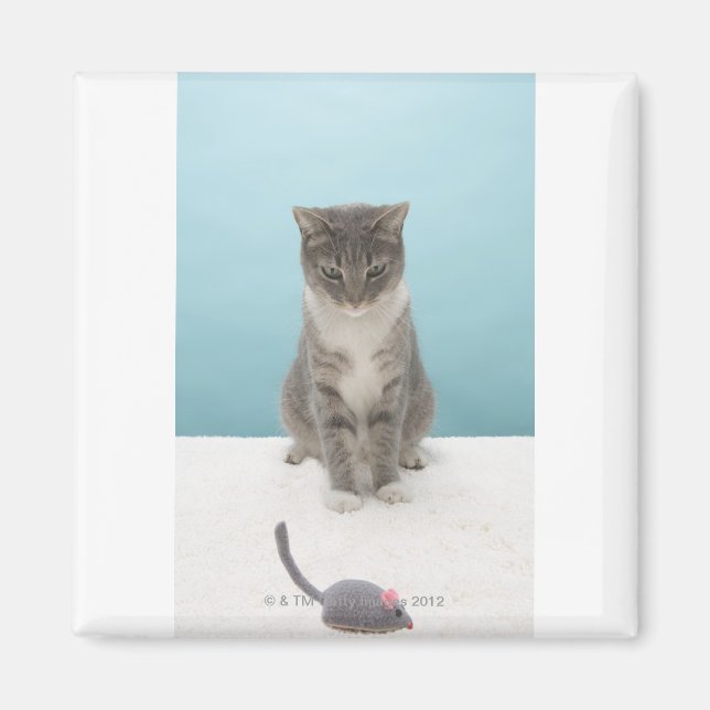 Katze, die Spielzeugmaus auf Teppich anschaut Magnet (Vorne)