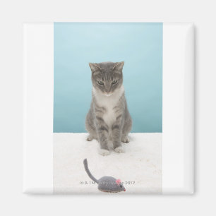 Katze, die Spielzeugmaus auf Wolldecke betrachtet Magnet